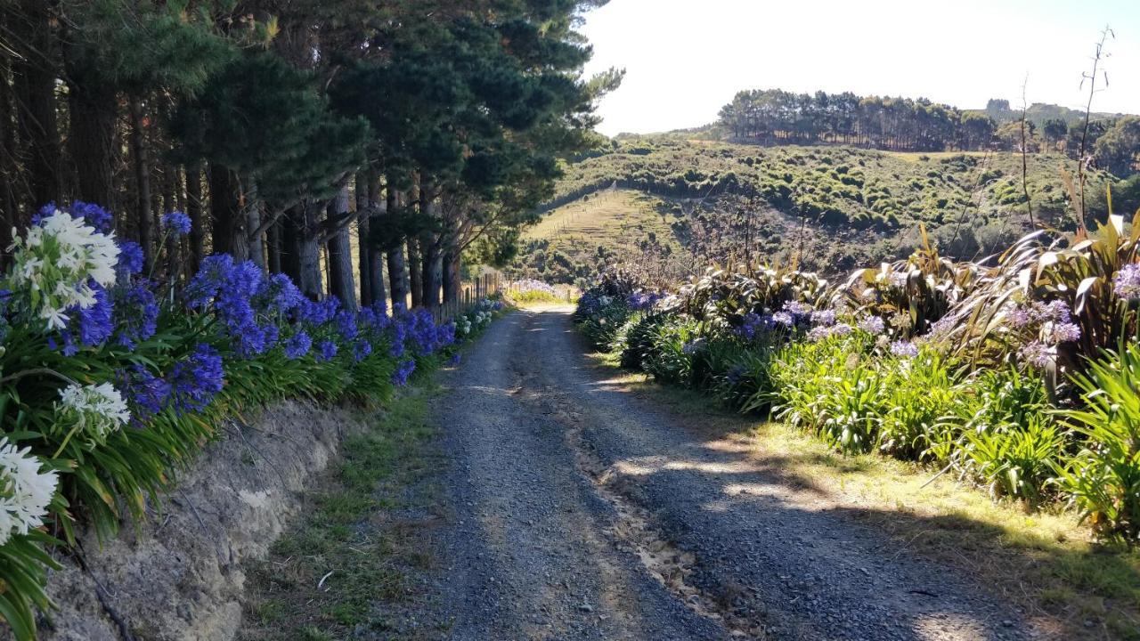 Hilltop Lodge Porirua Eksteriør bilde